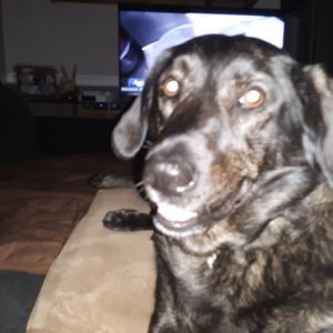 Meet your Posher, Teresa